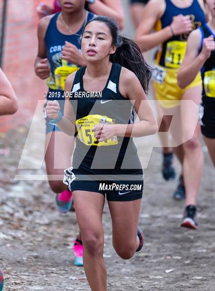 Thumbnail 3 in CIF State Cross Country Championships (Girls D3 Race) photogallery.