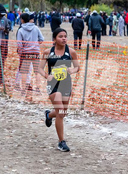 Thumbnail 2 in CIF State Cross Country Championships (Girls D3 Race) photogallery.