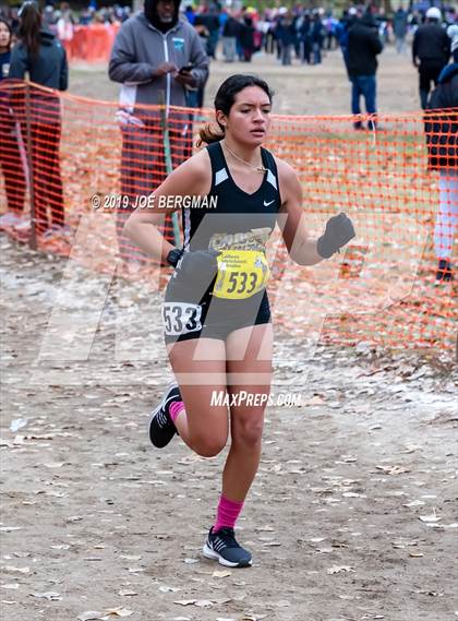 Thumbnail 1 in CIF State Cross Country Championships (Girls D3 Race) photogallery.