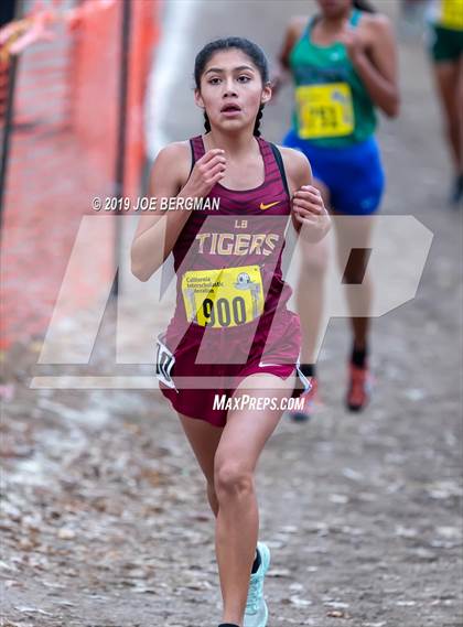 Thumbnail 3 in CIF State Cross Country Championships (Girls D3 Race) photogallery.