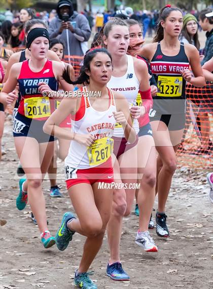 Thumbnail 2 in CIF State Cross Country Championships (Girls D3 Race) photogallery.