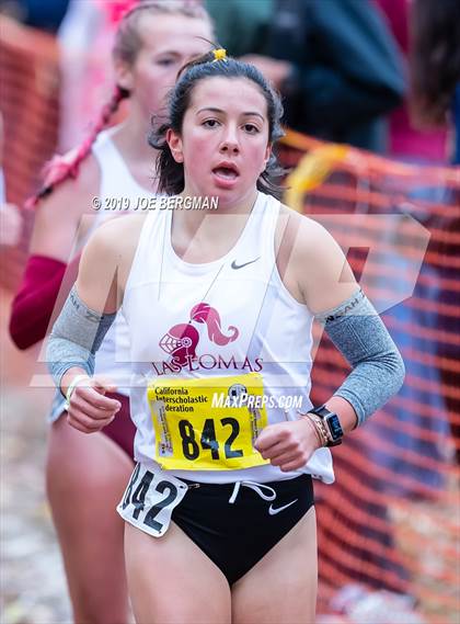 Thumbnail 1 in CIF State Cross Country Championships (Girls D3 Race) photogallery.
