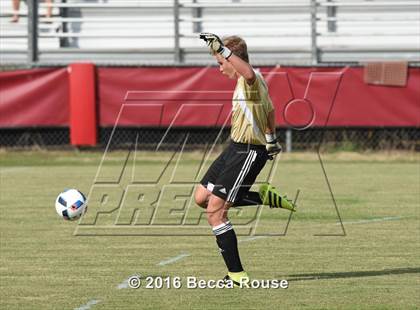 Thumbnail 2 in Charlotte Catholic vs Weddington photogallery.