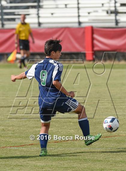 Thumbnail 1 in Charlotte Catholic vs Weddington photogallery.