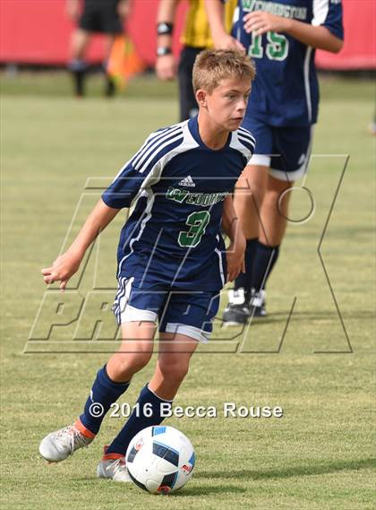 Thumbnail 2 in Charlotte Catholic vs Weddington photogallery.