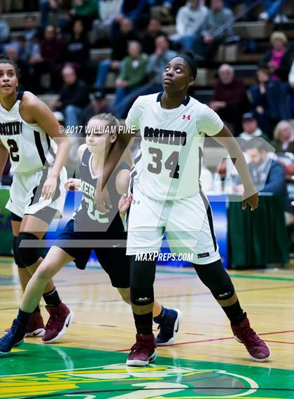 Thumbnail 1 in Our Lady of Mercy vs. Ossining (NYSPHSAA Class AA Semifinal) photogallery.