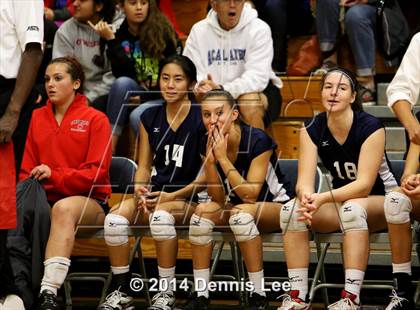 Thumbnail 3 in Acalanes @ Campolindo (CIF NCS D3 Playoffs) photogallery.