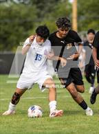 Photo from the gallery "Reno @ Douglas"