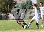 Photo from the gallery "Reno @ Douglas"