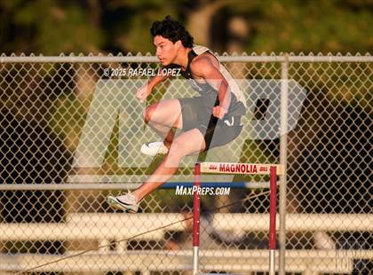 Thumbnail 2 in Dog Pound Invitational (300M Hurdles) photogallery.
