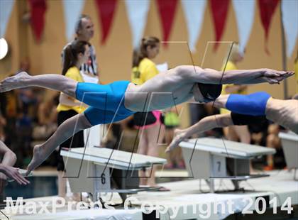 Thumbnail 1 in CHSAA 5A State Championships photogallery.