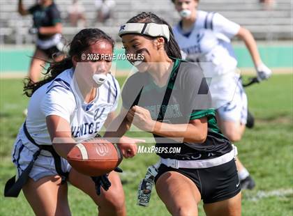 Thumbnail 3 in Venice vs Eagle Rock photogallery.