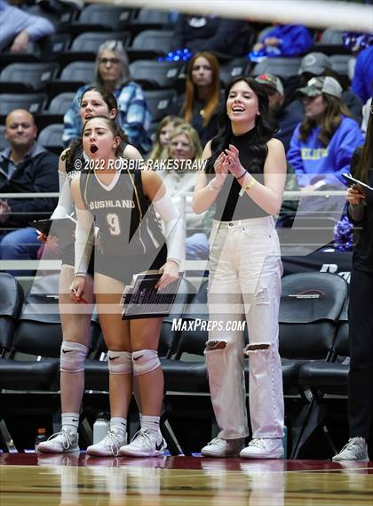 Thumbnail 2 in Gunter vs. Bushland (UIL 3A Final) photogallery.