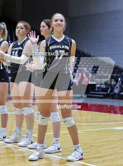 Thumbnail 1 in Gunter vs. Bushland (UIL 3A Final) photogallery.