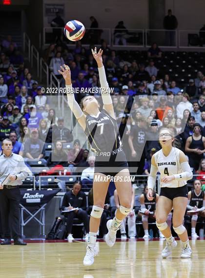Thumbnail 1 in Gunter vs. Bushland (UIL 3A Final) photogallery.