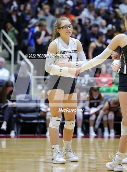 Thumbnail 1 in Gunter vs. Bushland (UIL 3A Final) photogallery.