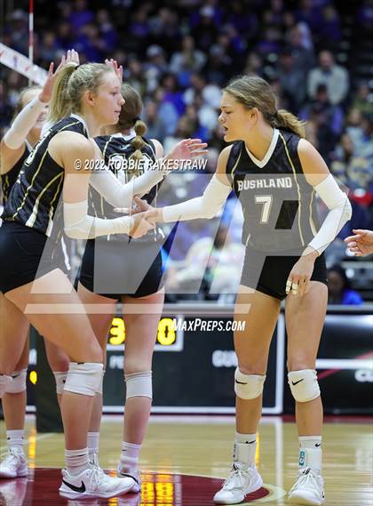 Thumbnail 1 in Gunter vs. Bushland (UIL 3A Final) photogallery.