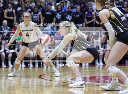Thumbnail 1 in Gunter vs. Bushland (UIL 3A Final) photogallery.
