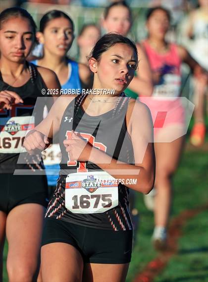 Thumbnail 1 in UIL 3A Girls Cross Country State Final photogallery.