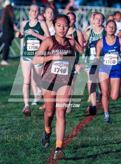 Thumbnail 3 in UIL 3A Girls Cross Country State Final photogallery.