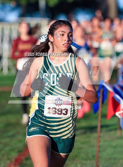 Thumbnail 1 in UIL 3A Girls Cross Country State Final photogallery.