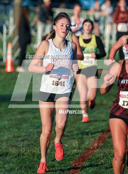 Thumbnail 3 in UIL 3A Girls Cross Country State Final photogallery.