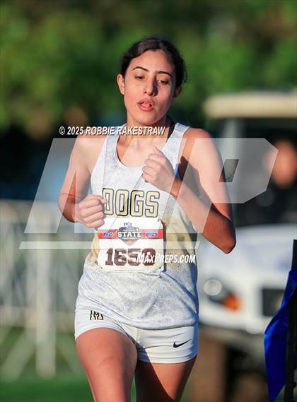 Thumbnail 1 in UIL 3A Girls Cross Country State Final photogallery.