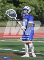 Photo from the gallery "Foothill @ Monte Vista"