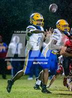Photo from the gallery "Gosnell @ Highland"