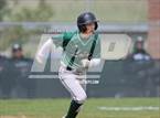 Photo from the gallery "Conifer @ D'Evelyn"