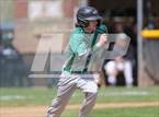 Photo from the gallery "Conifer @ D'Evelyn"