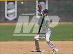 Photo from the gallery "Conifer @ D'Evelyn"