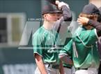 Photo from the gallery "Conifer @ D'Evelyn"
