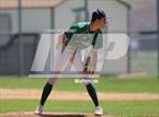 Photo from the gallery "Conifer @ D'Evelyn"