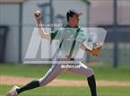 Photo from the gallery "Conifer @ D'Evelyn"