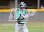Photo from the gallery "Conifer @ D'Evelyn"