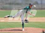Photo from the gallery "Conifer @ D'Evelyn"