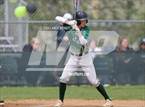 Photo from the gallery "Conifer @ D'Evelyn"