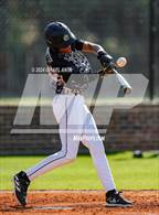 Photo from the gallery "Pine Forest @ Gray's Creek"