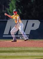 Photo from the gallery "Pine Forest @ Gray's Creek"