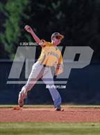 Photo from the gallery "Pine Forest @ Gray's Creek"