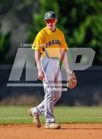 Photo from the gallery "Pine Forest @ Gray's Creek"