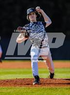 Photo from the gallery "Pine Forest @ Gray's Creek"