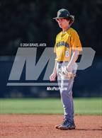Photo from the gallery "Pine Forest @ Gray's Creek"