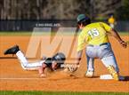 Photo from the gallery "Pine Forest @ Gray's Creek"