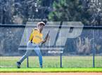 Photo from the gallery "Pine Forest @ Gray's Creek"