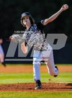 Photo from the gallery "Pine Forest @ Gray's Creek"