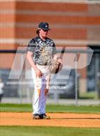 Photo from the gallery "Pine Forest @ Gray's Creek"