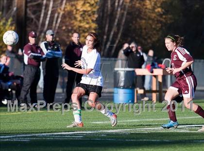 Thumbnail 1 in Bristol Central @ Shelton (CIAC Class LL 2nd Round) photogallery.