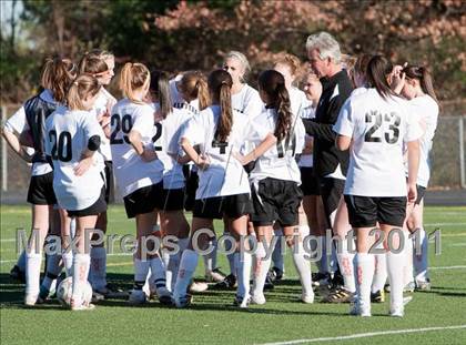 Thumbnail 1 in Bristol Central @ Shelton (CIAC Class LL 2nd Round) photogallery.